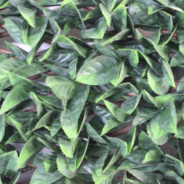 Synthetischer PITTOSPORUM in Rolle für Zäune oder Überdachungen 100 x 200