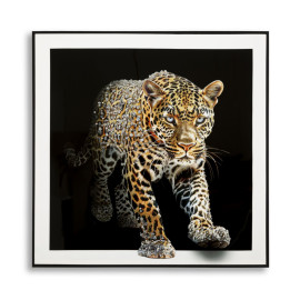 Modern Paintings PAINTED ON LACQUERED CANVAS JAGUAR WITH FRAME -A- CM 82X4X82 Mauro Ferretti