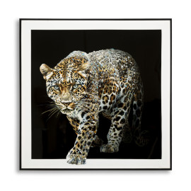 Modern Paintings PAINTED ON LACQUERED CANVAS JAGUAR WITH FRAME -B- CM 82X4X82 Mauro Ferretti
